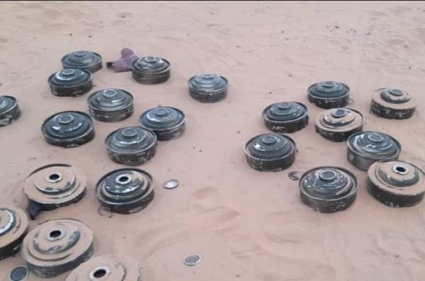 شبوة.. الفرق الهندسية للعمالقة تنتزع عشرات الألغام من مديرية عُسيلان