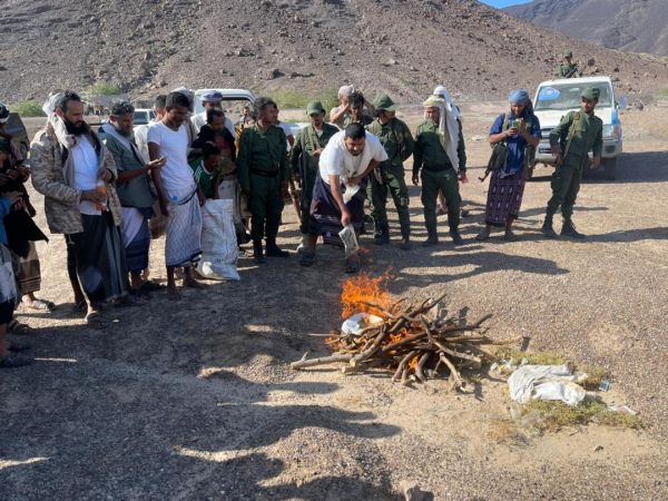 فيديو| أمن ذو باب المندب يتلف كمية من الحشيش المخدر ضُبطت بحوزة مهربين مرتبطين بمليشيا الحوثي 