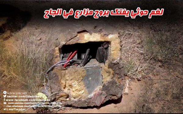 لغم حوثي يفتك بروح مزارع في الجاح