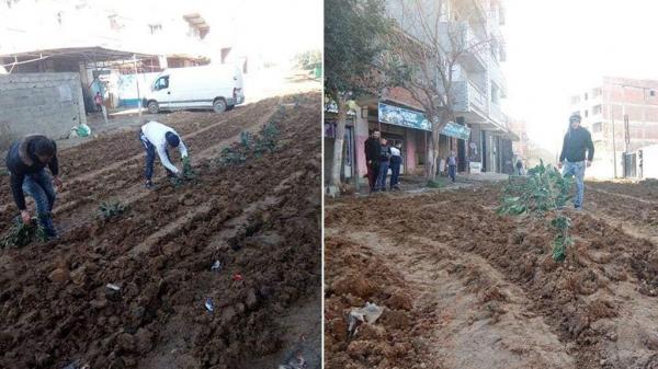 الجزائر.. مواطنون يزرعون البصل والبطاطا في الشارع احتجاجاً على إهمال السلطات في إصلاحه 