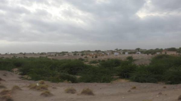 نيران حوثية تستهدف قرى الجبلية بالتحيتا