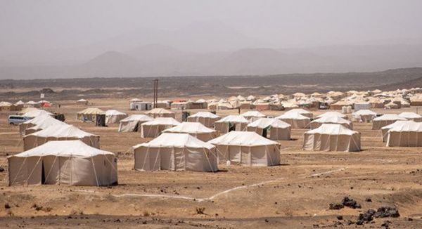 الهجرة الدولية: نزوح 66 أسرة يمنية خلال الأسبوع الماضي
