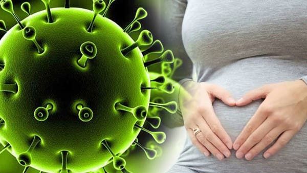 دراسة مرعبة عن كورونا.. مشيمة مدمرة وأجنة ميتة!
