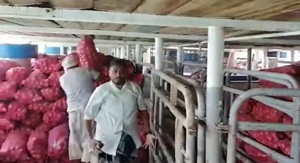 صور| ميناء المخا يصدّر أول شحنة من المنتجات الزراعية إلى الأسواق الإفريقية