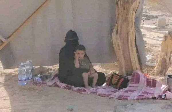 استجابة إنسانية لوالدة الجاني.. شيخ قبَلي يعفو عن قاتل ابنه في مأرب