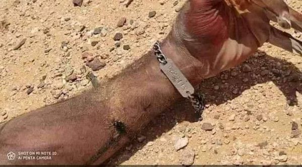 مأرب تتحول لـ« برمودا» تبتلع جحافل مرتزقة إيران