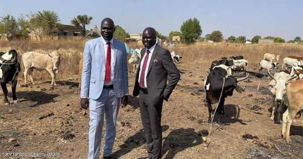 في جنوب السودان.. مهر ابنة الرئيس 500 بقرة