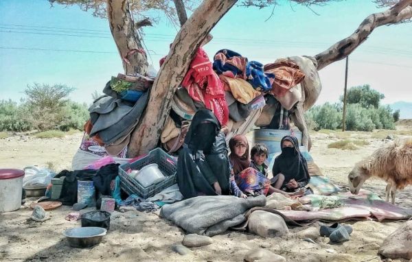 منظمة حقوقية عربية: الحوثيون تمترسوا داخل مخيمات نازحين في مأرب