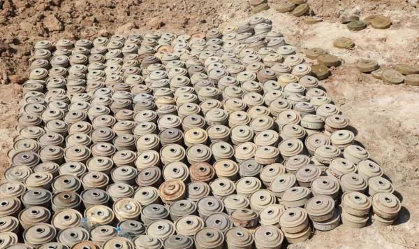 «مسام»: انتزاع 2095 لغماً وذخائر غير منفجرة في الأسبوع الأول من الشهر الجاري