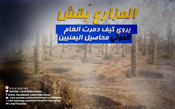 المزارع ُبقش يروي كيف دمرت ألغام الحوثي محاصيل اليمنيين 