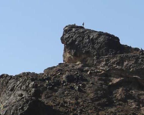 بإسناد من الحزام الأمني.. رجال القبائل يخوضون معارك عنيفة لتحرير مواقع في مريس الضالع