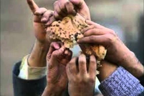 الحوثيون وقانون الخُمس .. نهب منظم لمقدرات اليمنيين