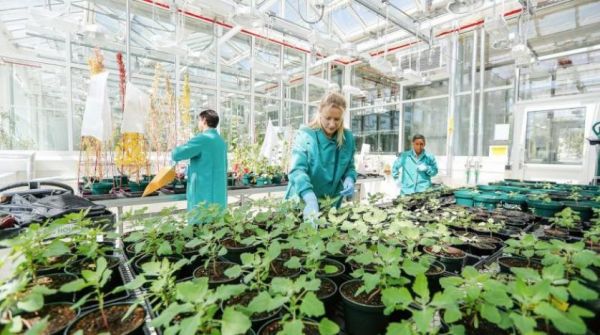 مبادرة جامعية سعودية لتطوير سوق العمل ودعم التنمية