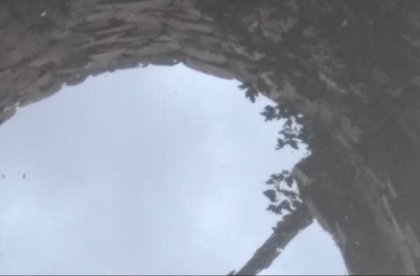 البيضاء.. العثور على جثمان مهاجر إثيوبي الجنسية ملقاة في بئر مياه بمديرية الزاهر