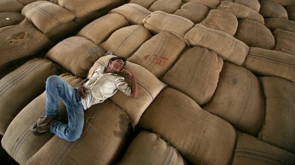 سعر القمح يسجل قفزة جديدة.. هذه المرة بسبب الهند