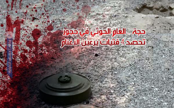 حجة.. ألغام الحوثي في حجور تحصد 4 فتيات يرعين الأغنام