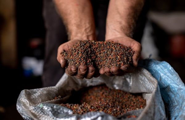 وزير الزراعة البرازيلي يبحث في الأردن سبل تعزيز إمداد بلاده بسماد البوتاسيوم