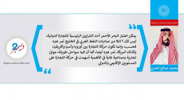 كيان دول البحر الأحمر وخليج عدن.. الرؤية المستقبلية بين الحلم والإنجاز