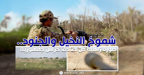 شموخ النخيل والجنود ..صورة زاهية من خنادق حراس جمهورية الشعب في جبهة الجاح 
