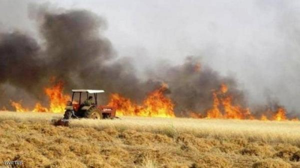 الحرائق "المفتعلة" تستمر بالتهام الأراضي الزراعية في العراق