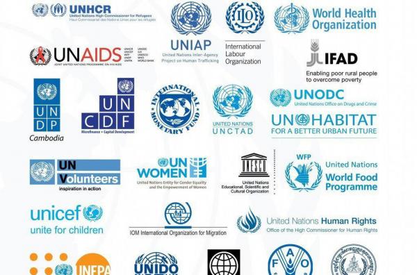الحكومة اليمنية تطالب وكالات الأمم والمتحدة بتقاريرها المالية عن المرحلة السابقة