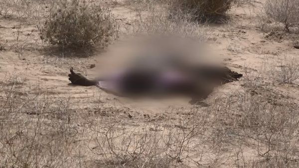 فيديو| في أقل من 24 ساعة.. ألغام الحوثي تنهي حياة 4 مدنيين وتصيب طفلاً في حيس 