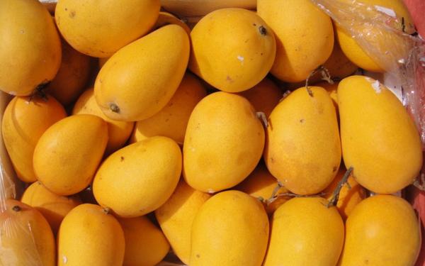 علاج "سحري" لاضطرابات الجهاز الهضمي
