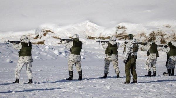 فنلندا تعتزم بناء سياج على حدودها مع روسيا