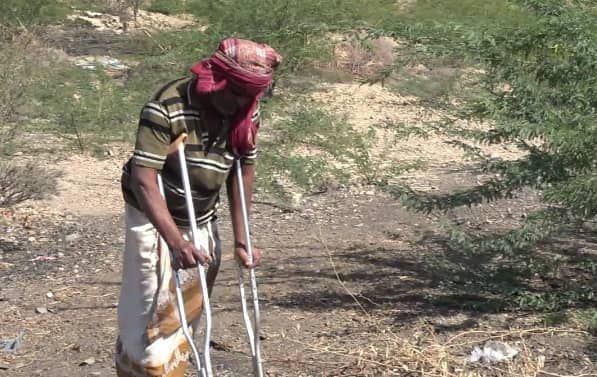 الصيف يُطلقها  من جحورها.. إصابات بلدغات الأفاعي في موزع تؤرِّق السكان