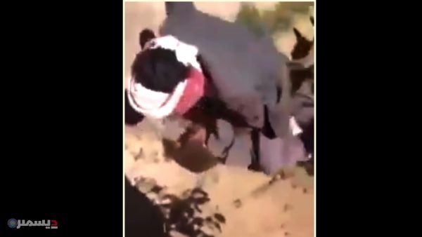 فيديو صادم... حوثيان يعذبان طفلًا بوحشية داخل مزرعة بصنعاء ويوثقان الجريمة