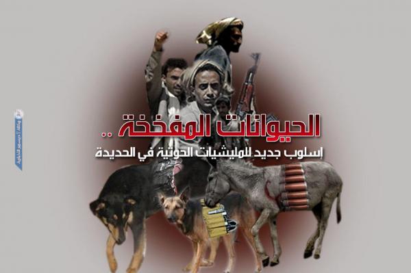 الحيوانات المفخخة.. أسلوب جديد للمليشيات الحوثية في الحديدة