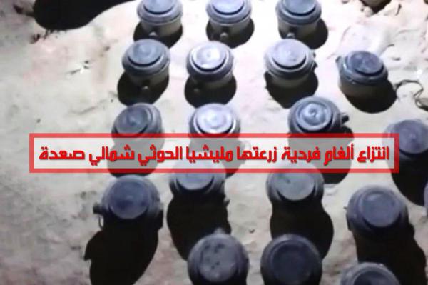 انتزاع ألغام فردية زرعتها مليشيا الحوثي شمالي صعدة