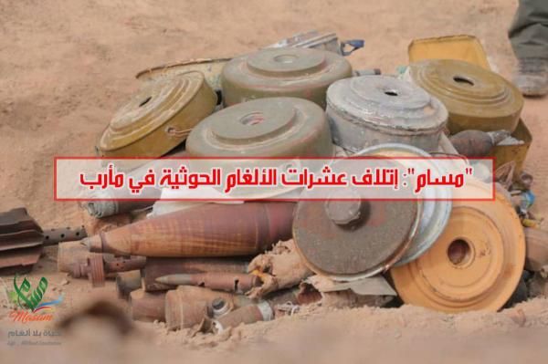 «مسام»: إتلاف عشرات الألغام الحوثية في مأرب