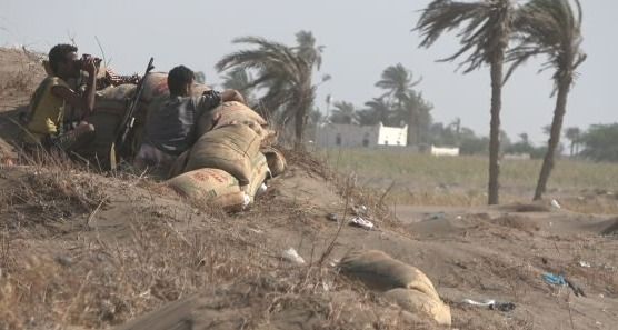 48 خرقًا جديدًا لمليشيا الحوثي في الساحل الغربي