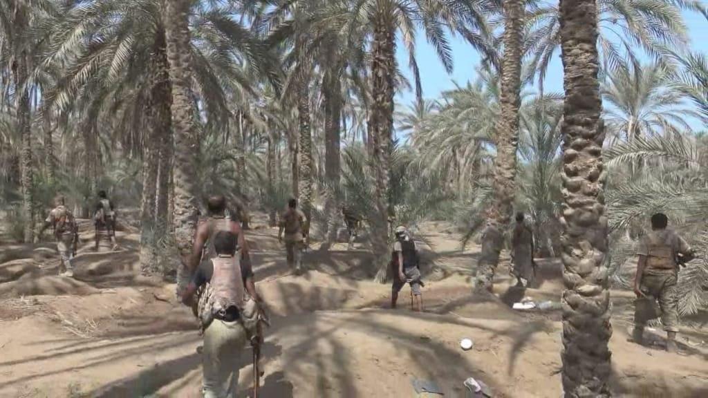 الحديدة.. القوات المشتركة تلقن مليشيات الحوثي درسا جديدا شرق الجاح