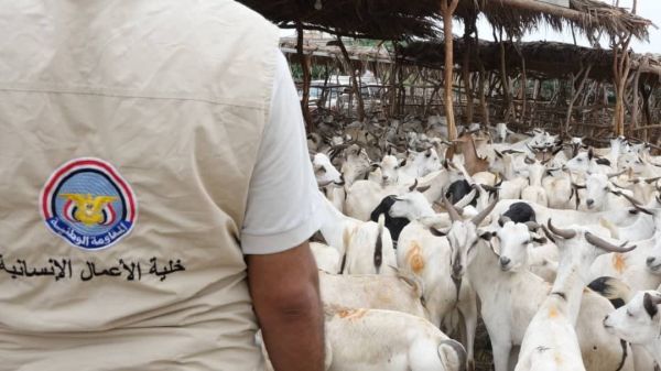 إنسانية المقاومة تواصل توزيع أضاحي العيد على الأسر الفقيرة والنازحة بالساحل الغربي