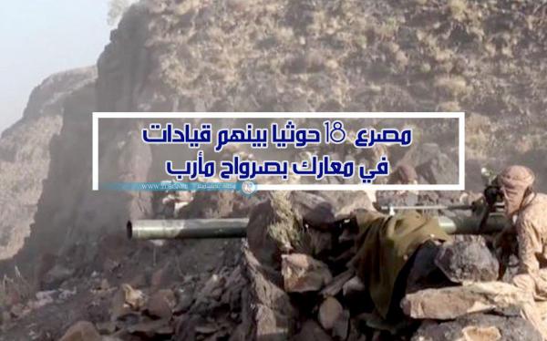 مصرع 18 حوثيا بينهم قيادات في معارك بصرواح مأرب
