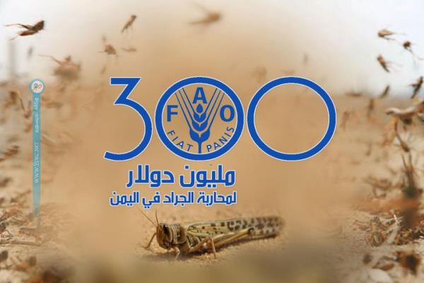 300 مليون دولار لمحاربة الجراد في اليمن