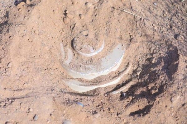 كلهم اطفال.. خمسة شهداء وجريح بألغام الحوثيين في مأرب