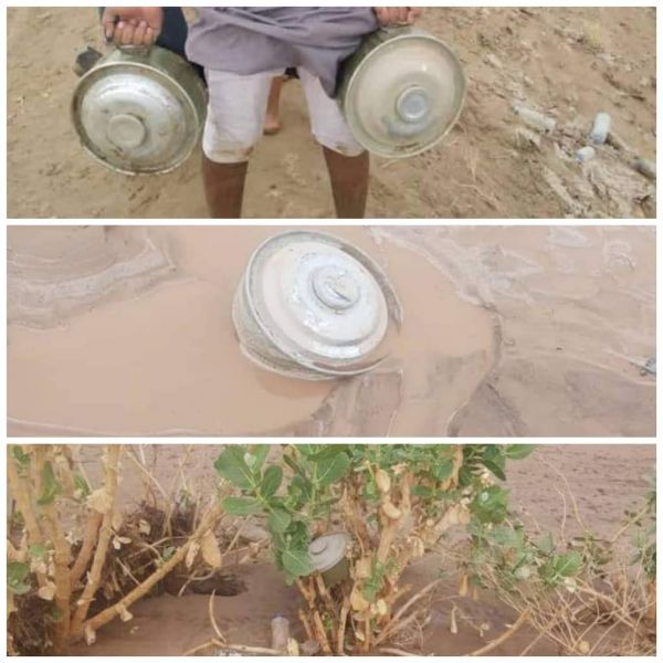 سيول مأرب تواصل جرف ألغام الحوثيين إلى الأودية وتحذيرات للمواطنين بأخذ الحيطة    