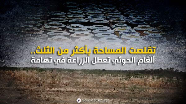 تقلصت المساحة بأكثر من الثلث.. ألغام الحوثي تعطل الزراعة في تهامة لعقود