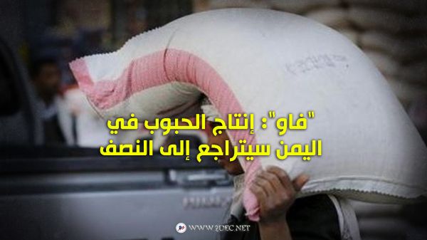 "فاو": إنتاج الحبوب في اليمن سيتراجع إلى النصف 
