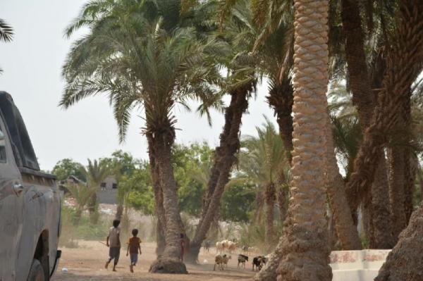 "أبو زهر" قبلة الزوار والمتنزهين في الساحل الغربي