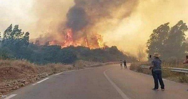 الجزائر.. مقتل 18 عسكريا خلال مكافحتهم حرائق الغابات