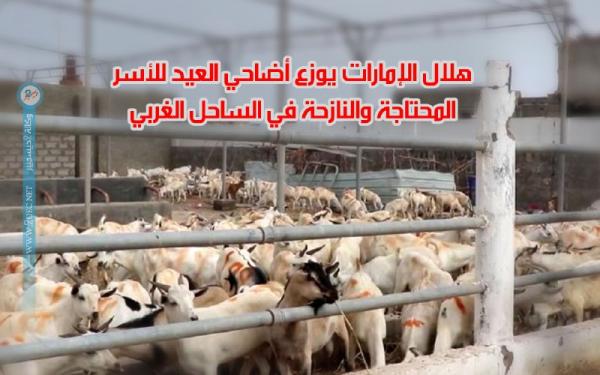 هلال الإمارات يوزع أضاحي العيد للأسر المحتاجة والنازحة في الساحل الغربي