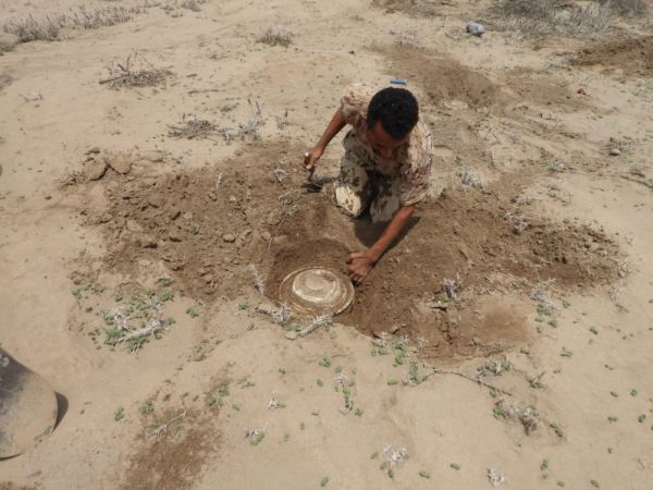 صور| هندسة المشتركة تفكّك شبكة ألغام حوثية جنوب الجراحي 