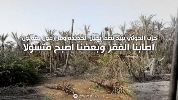 حرب الحوثي تبيد نصف نخيل الحديدة ومزارعون يقولون: أصابنا الفقر وبعضنا أصبح متسولا