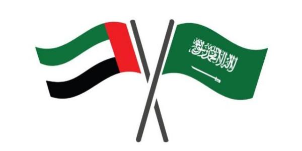 سبع لجان لتحقيق التكامل السعودي الإماراتي في المجالات الحيوية