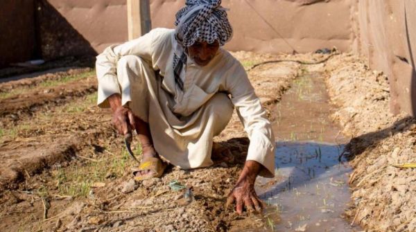 بسبب السدود  الإيرانية التركية .. العراق في طريق الجفاف
