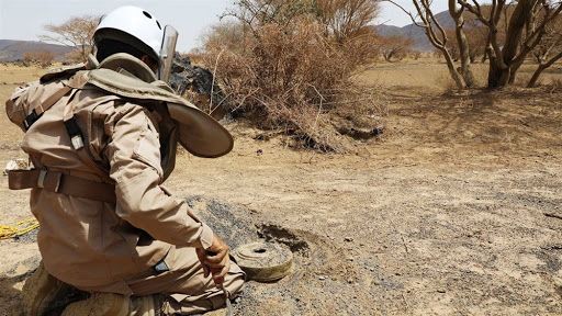 "مسام" يعلن نزع 1300 لغم حوثي وذخيرة غير منفجرة خلال أسبوع